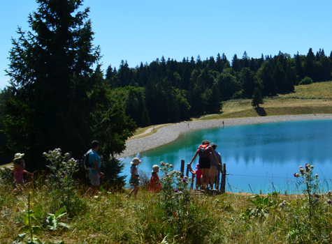 Agenda Et Actualites Du Domaine Vtt De Metabief