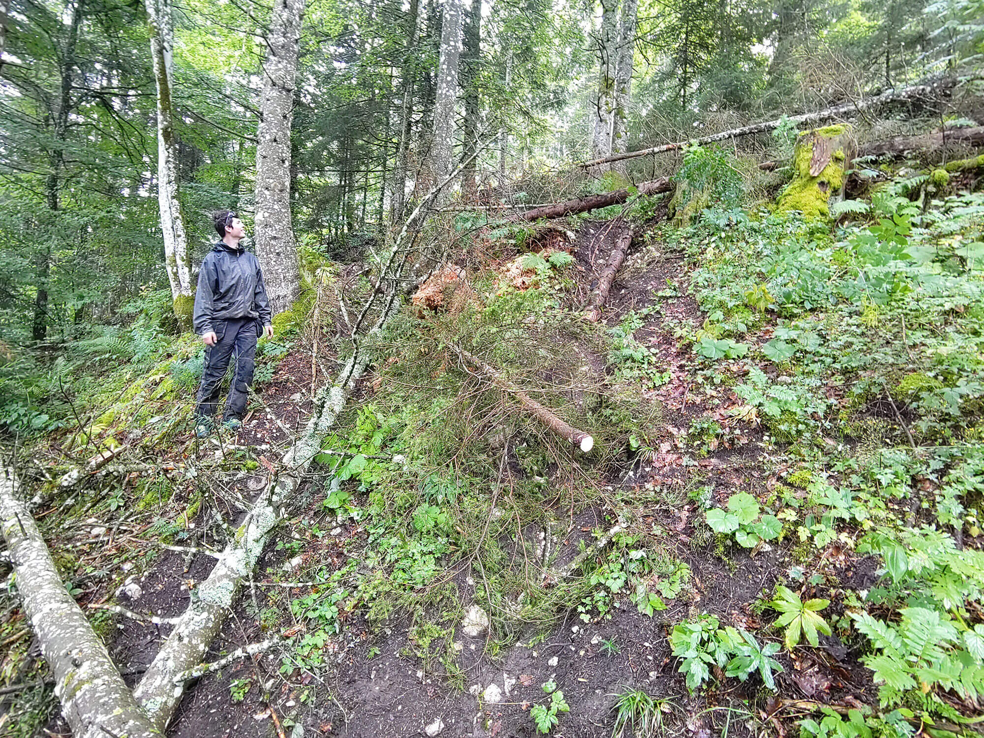 Barrière naturelle