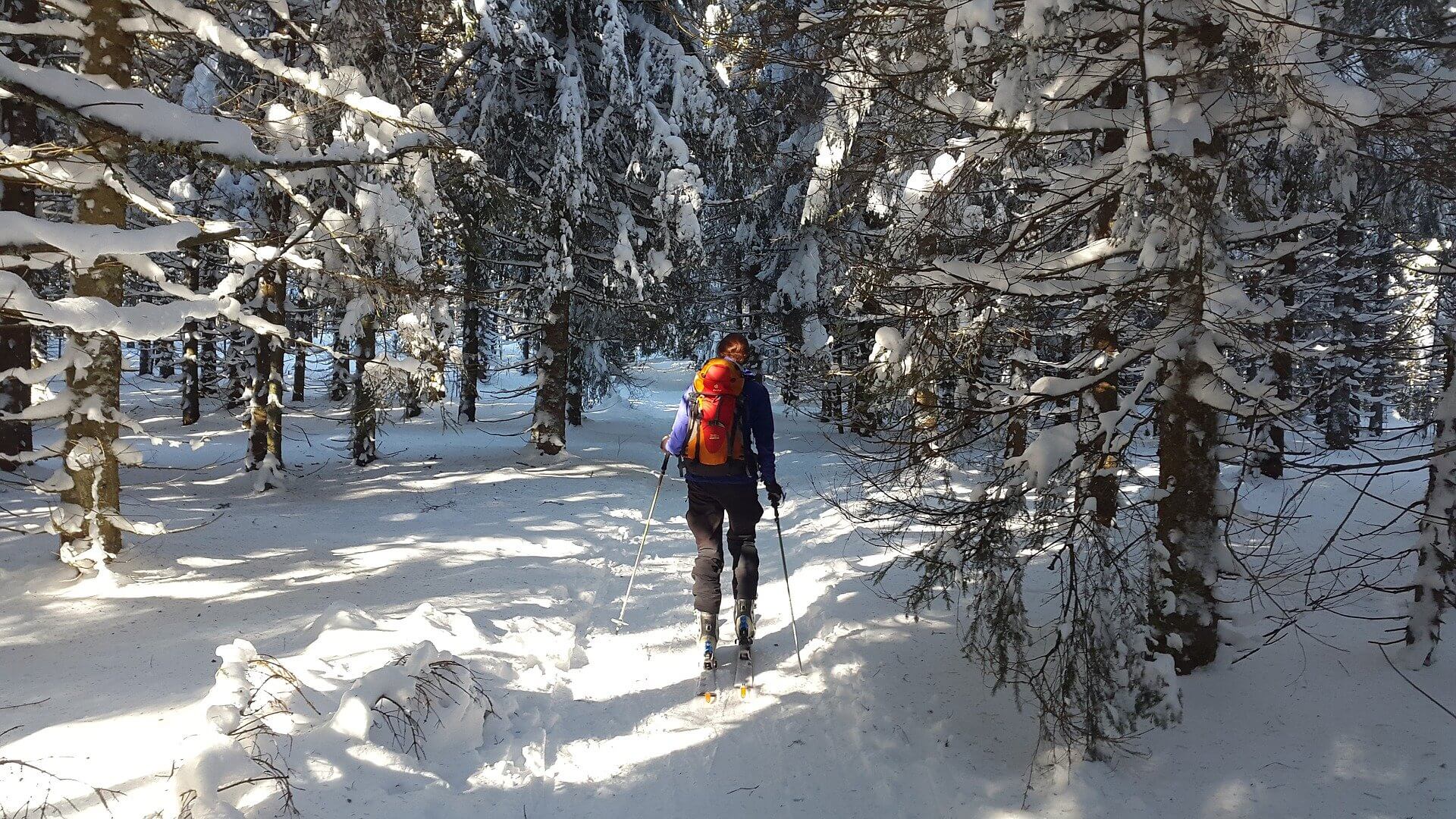 Ski de randonnée